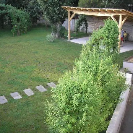 Hullam * Révfülöp