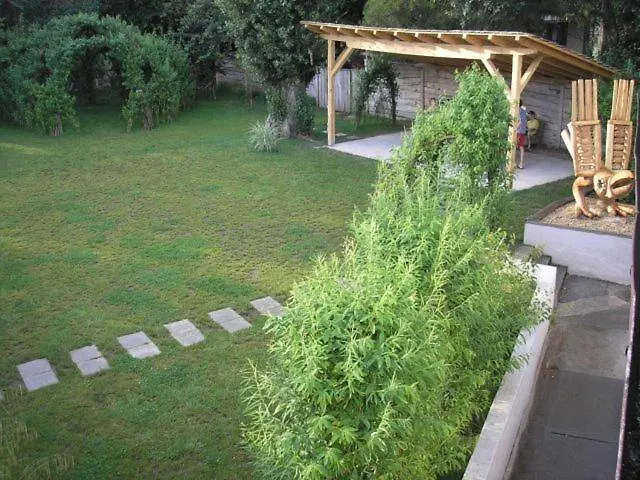 Hullam * רבפולופ